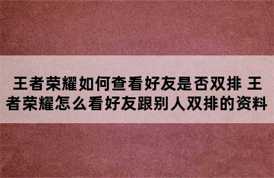 王者荣耀如何查看好友是否双排 王者荣耀怎么看好友跟别人双排的资料